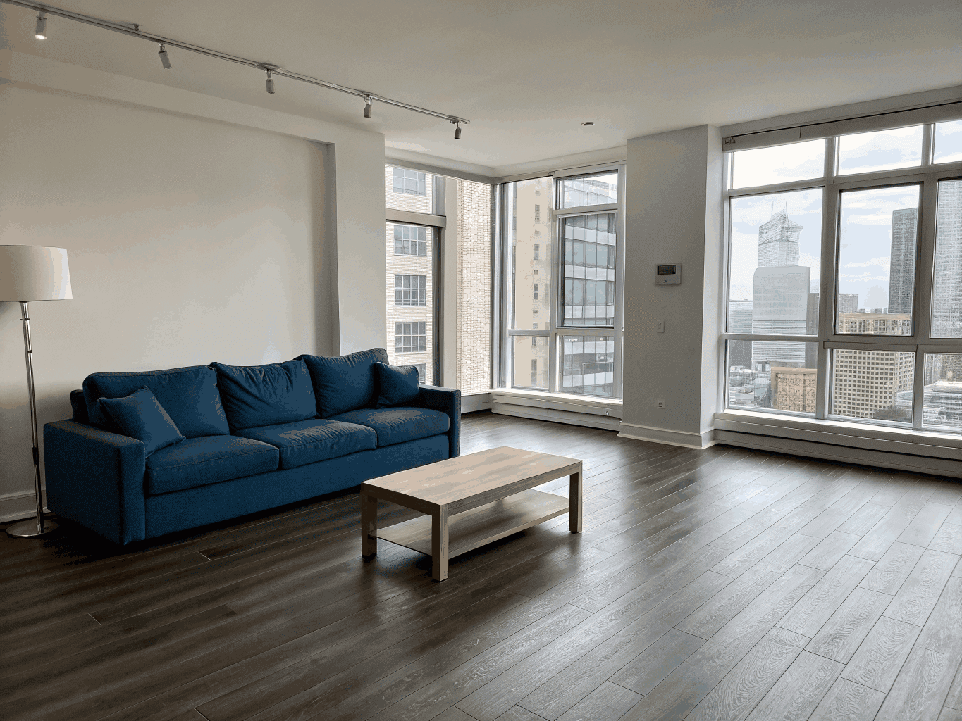 Modern interior living room with a professionally painted dark navy feature wall